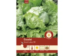 Pabst Keimkraft Eissalat Groß & Fest Great Lakes 118 Saatgut