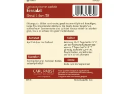 Pabst Keimkraft Eissalat Groß & Fest Great Lakes 118 Saatgut