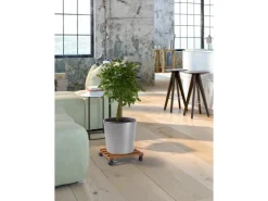 Pflanzenroller Buche dunkel geölt eckig 35 cm x 35 cm