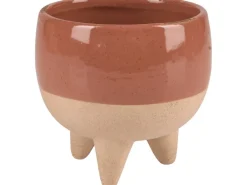Pflanzgefäß Sukkulente Desert Flower 9,2 cm x Ø 10,3 cm Terrakotta