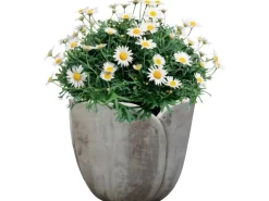 Pflanzgefäß Tulpenform Terrakotta Ø 33 cm Braun