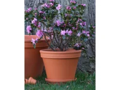 Pflanztopf Ø 31 cm Terrakotta