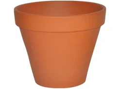 Pflanztopf Ø 5 cm Terrakotta