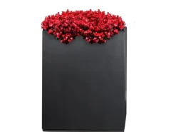 Pflanzwerk® Ultraflacher Pflanzenroller 80 cm x 28 cm