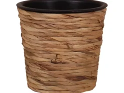 PP-Übertopf mit Wasserhyazinthe Ø 21 cm x 19 cm Natur