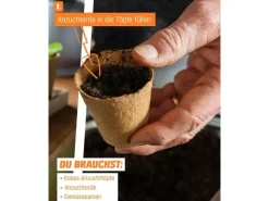 Proflora Kokosfaser Anzucht-Pflanztopf 0,30 l (20 Töpfe)