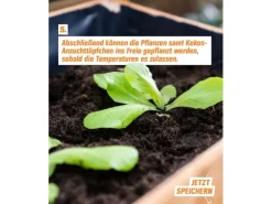 Proflora Kokosfaser Anzucht-Pflanztopf 0,30 l (20 Töpfe)