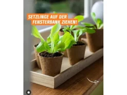 Proflora Kokosfaser Anzucht-Pflanztopf 0,30 l (50 Töpfe)