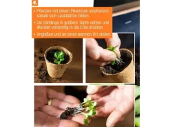 Proflora Kokosfaser Anzucht-Pflanztopf 0,05 l (20 Töpfe)