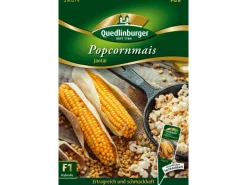 Quedlinburger Popcorn-Mais ''Jantar''