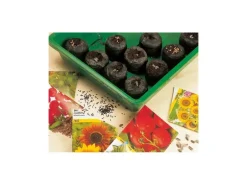 Quelltabs 3,5 cm Ø 50 Stück