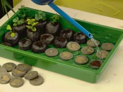 Quelltabs 3,5 cm Ø 50 Stück