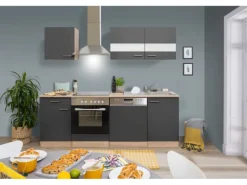 Respekta Küchenzeile KB220ESGC 220 cm Grau-Eiche Sägerau Nachbildung Glänzend