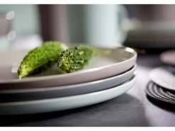 Ritzenhoff & Breker Jasper Speiseteller 26 cm 4er Set Mint