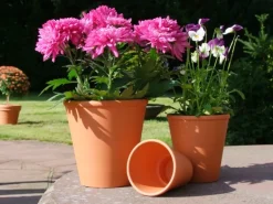 Rosentopf Ø 14 cm Terrakotta