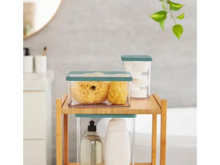 Rotho Dose Loft Premium Quadratisch 1 l Transparent Mistletoe Green