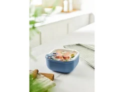 Rotho Frischhaltedose Ela 0,425 l Horizontblau