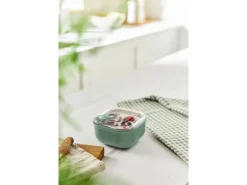 Rotho Frischhaltedose Ela 0,425 l Mistletoe Green