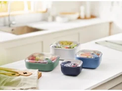 Rotho Frischhaltedose Ela Flach 1 l Mistletoe Green