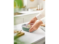 Rotho Frischhaltedose Ela Flach 1 l Mistletoe Green