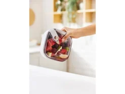 Rotho Frischhaltedose Ela 1 l Weiß