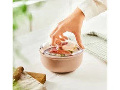 Rotho Frischhaltedose Ela Rund 0,75 l Rosa