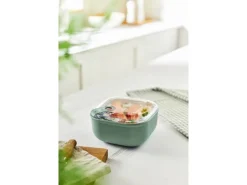 Rotho Frischhaltedose Ela 1 l Mistletoe Green