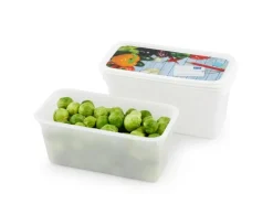 Rotho Gefrierdosen-Set Domino Gemüse 1,5 l Weiß 3-teilig