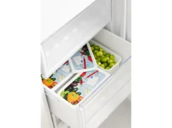 Rotho Gefrierdosen-Set Domino Gemüse 1,5 l Weiß 3-teilig