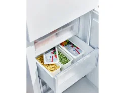 Rotho Gefrierdosen-Set Domino Gemüse 1,5 l Weiß 3-teilig