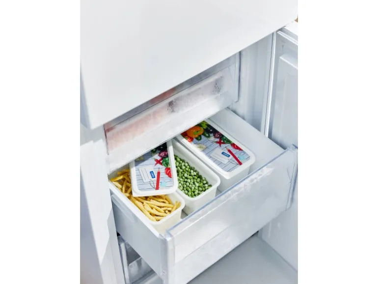 Rotho Gefrierdosen-Set Domino Gemüse 1,5 l Weiß 3-teilig