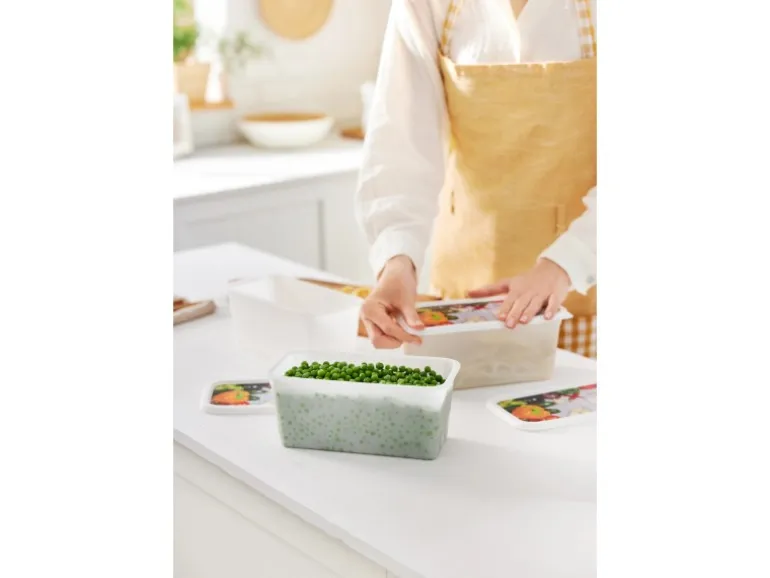 Rotho Gefrierdosen-Set Domino Gemüse 1,5 l Weiß 3-teilig