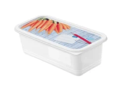 Rotho Gefrierdosen-Set Domino Karotten 1,2 l Weiß 3-teilig