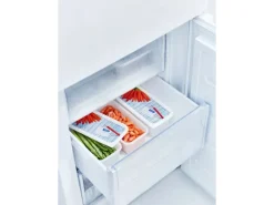 Rotho Gefrierdosen-Set Domino Karotten 1,2 l Weiß 3-teilig