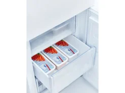 Rotho Gefrierdosen-Set Domino Karotten 1,2 l Weiß 3-teilig