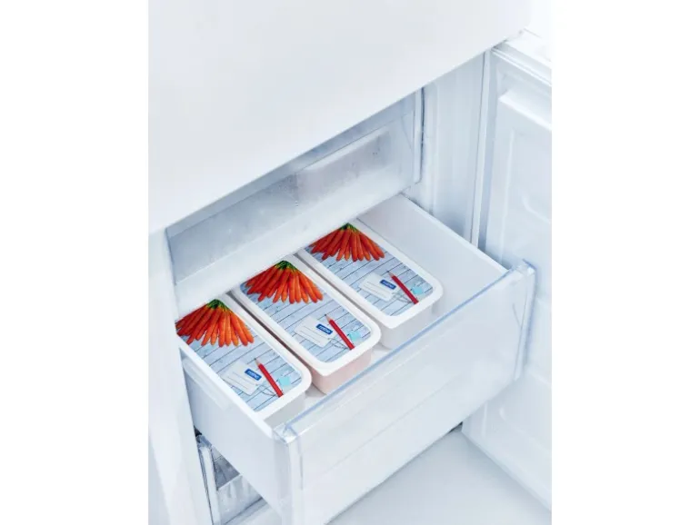 Rotho Gefrierdosen-Set Domino Karotten 1,2 l Weiß 3-teilig