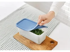 Rotho Gefrierdosen-Set Domino 1,5 l Horizontblau 3-teilig