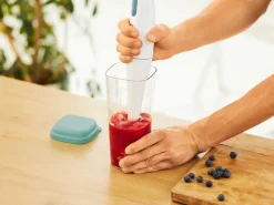 Rotho Küchenhelfer Loft 1 l Transparent Mistletoe Green