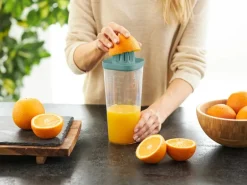 Rotho Küchenhelfer Loft 1 l Transparent Mistletoe Green