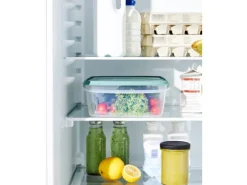 Rotho Kühlschrankdose Elements 5 l Mistletoe Green