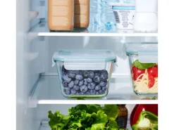 Rotho Kühlschrankdose Nala mit Kunststoffdeckel Glas 0,75 l Mistletoe Green