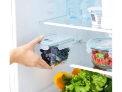 Rotho Kühlschrankdose Nala mit Kunststoffdeckel Glas 0,75 l Mistletoe Green