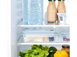 Rotho Kühlschrankdose Nala 1,2 l Mistletoe Green