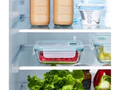 Rotho Kühlschrankdose Nala mit Kunststoffdeckel Glas 0,38 l Mistletoe Green