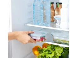 Rotho Kühlschrankdose Nala mit Kunststoffdeckel Glas 0,38 l Mistletoe Green