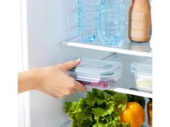 Rotho Kühlschrankdose Nala 0,45 l Mistletoe Green