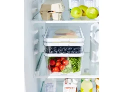 Rotho Kühlschrankorganizer Cauma 2,6 l Weiß