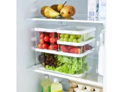 Rotho Kühlschrankorganizer Cauma 1,2 l Weiß