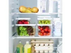 Rotho Kühlschrankorganizer Cauma 1,2 l Weiß