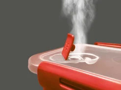 Rotho Lunchbox B3 Memory 1,1 l Papaya